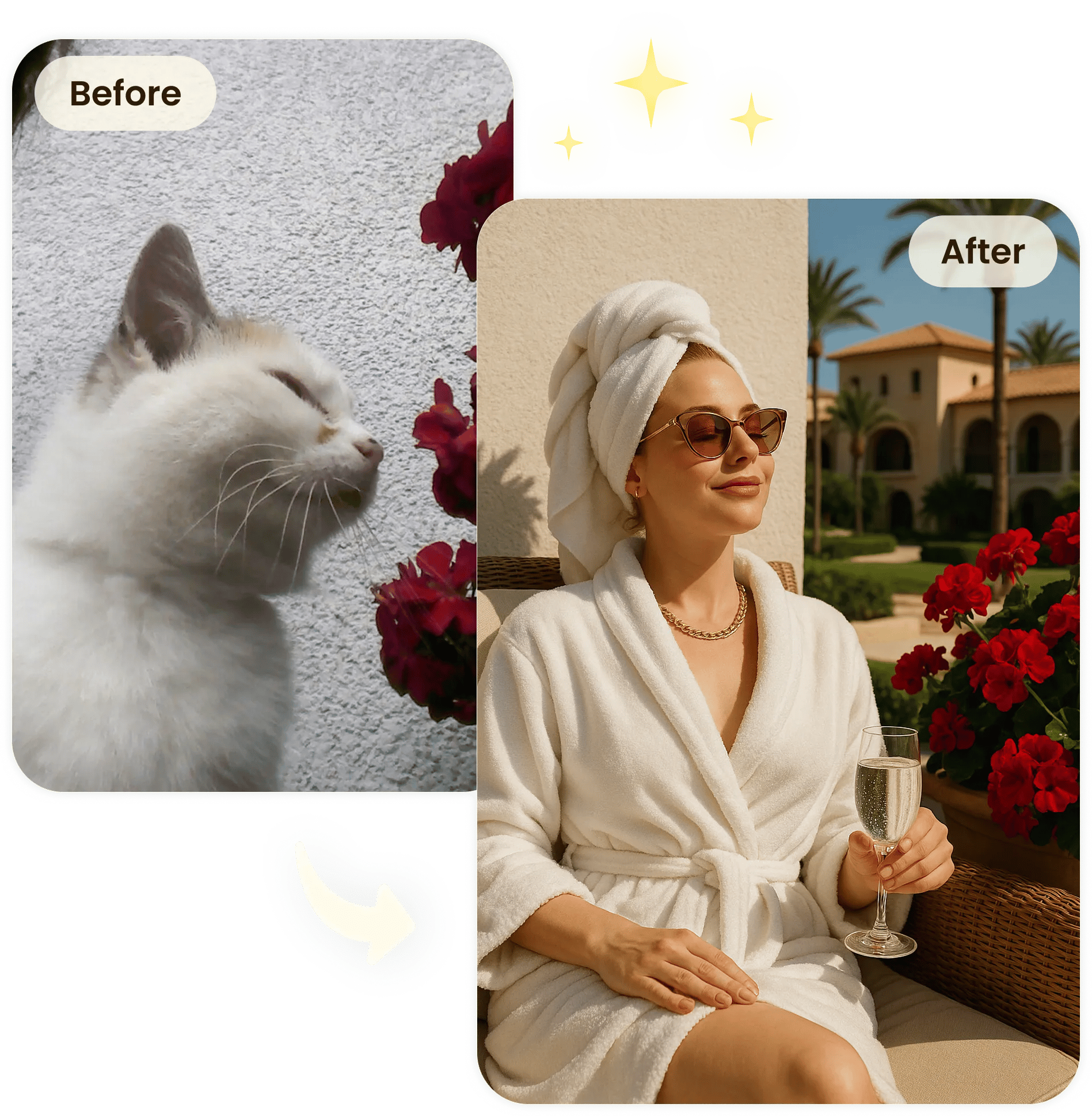 Before and after result from the Pet2Human app